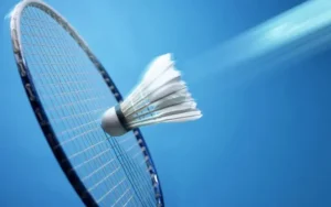 Hướng Dẫn Cách Chơi Cá Cược Cầu Lông Tại Nhà Cái 12Bet Thành Công