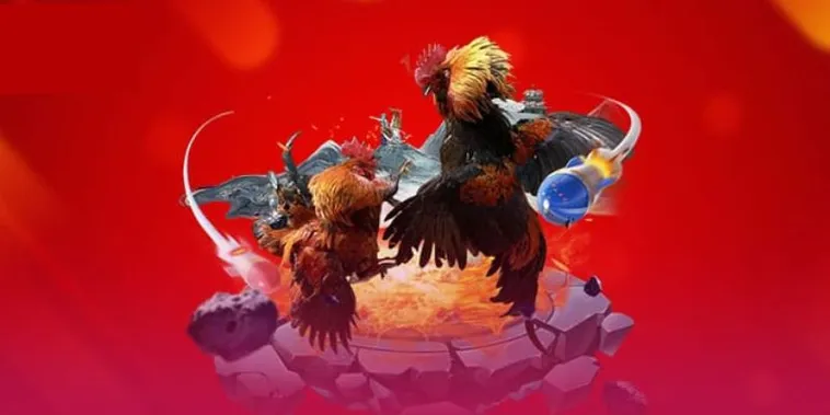 Hướng Dẫn Cách Chơi Đá Gà 3D Tại 12Bet Hiệu Quả Nhất Cho Người Mới