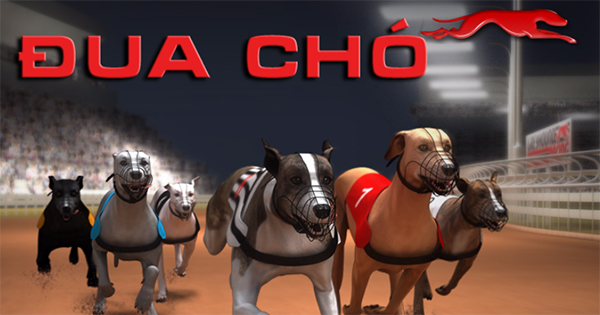 Cách Chơi Game Nhanh Đua Chó Tại 12Bet Để Tăng Tỷ Lệ Thắng 2 Cách Chơi Game Nhanh Đua Chó Tại 12Bet Để Tăng Tỷ Lệ Thắng